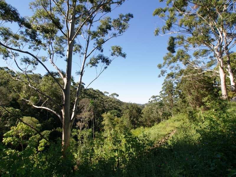 1268 Main Arm Road, Main Arm NSW 2482