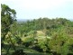Billinudgel, Billinudgel NSW 2483