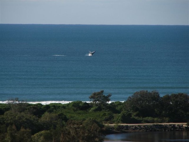 Ocean Shores NSW 2483