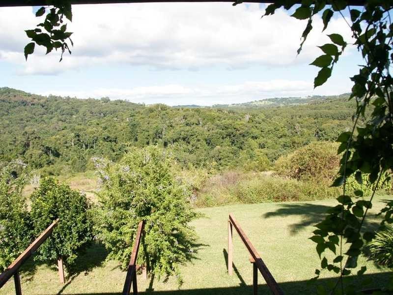 58 Montecollum Road, Wilsons Creek NSW 2482