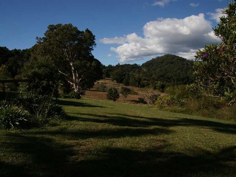 58 Montecollum Road, Wilsons Creek NSW 2482