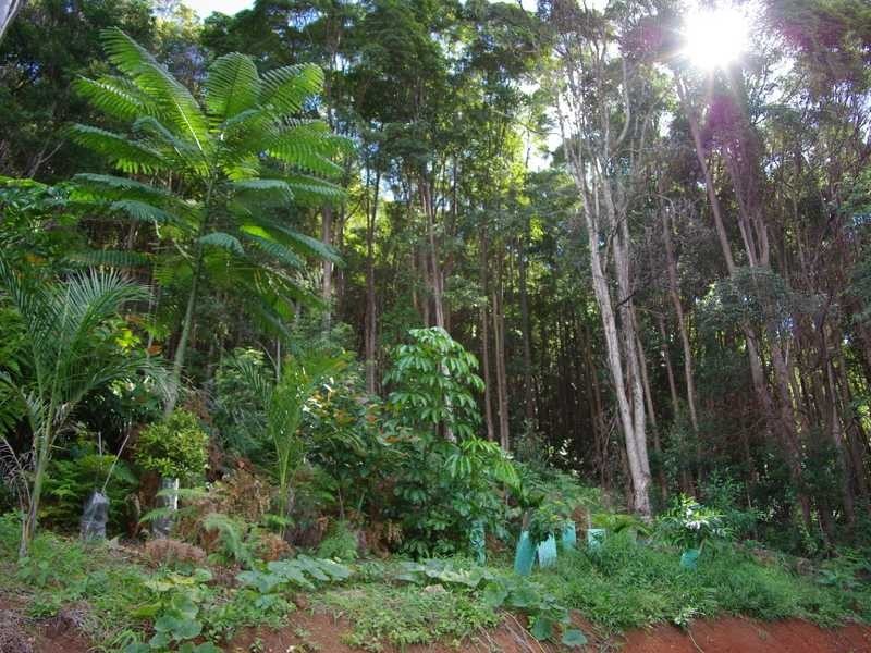 62 Binalong Court, Burringbar NSW 2483