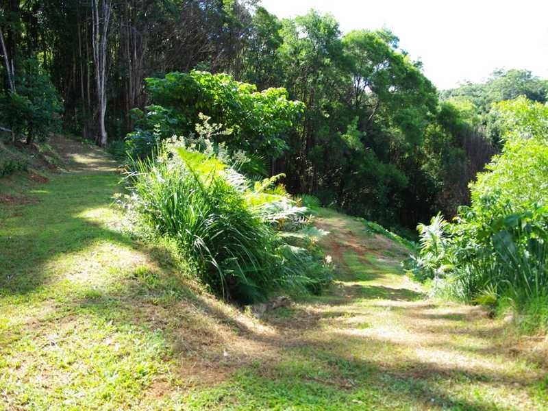 62 Binalong Court, Burringbar NSW 2483