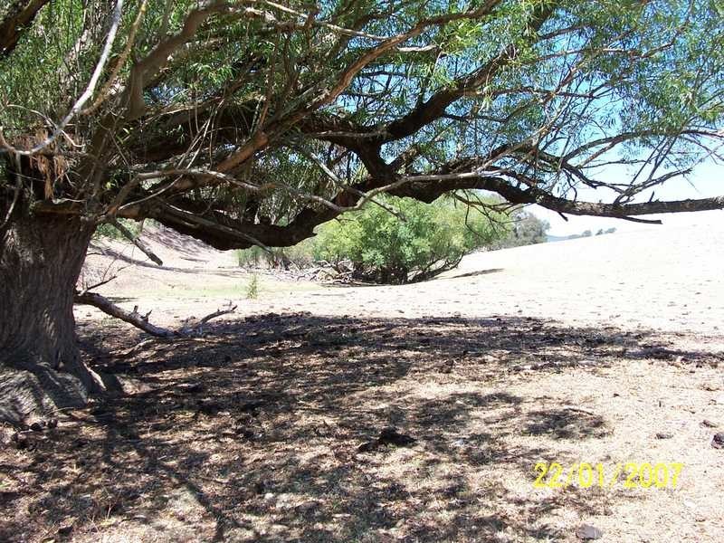 3 Wilpy Place, Ocean Shores NSW 2483