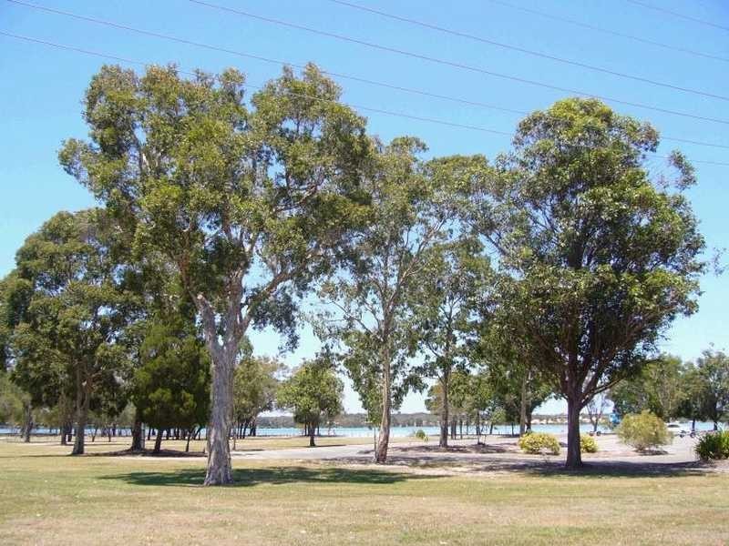 10 Nandroya Avenue, Ocean Shores NSW 2483