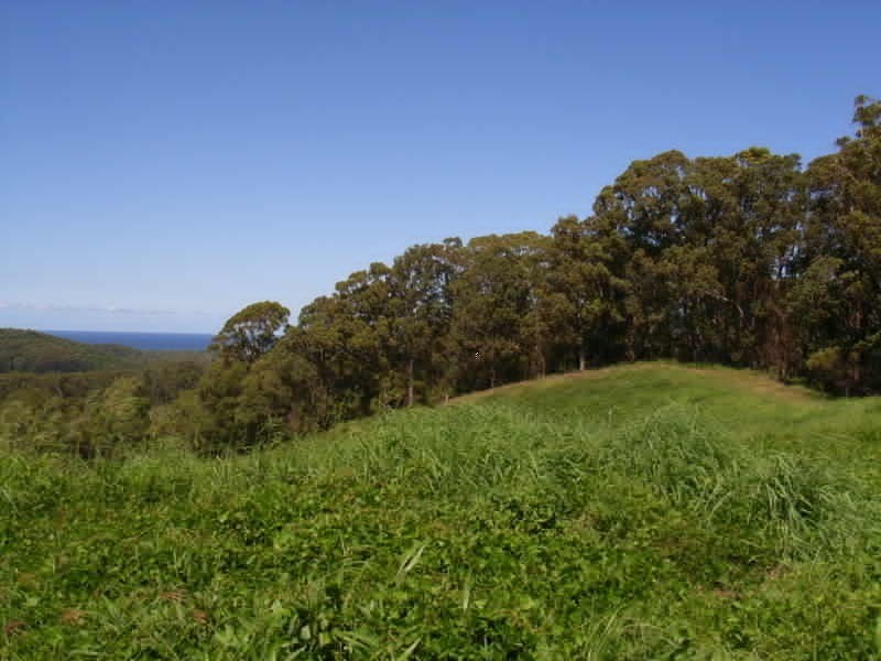 LOT 2 Billinudgel Road, Billinudgel NSW 2483