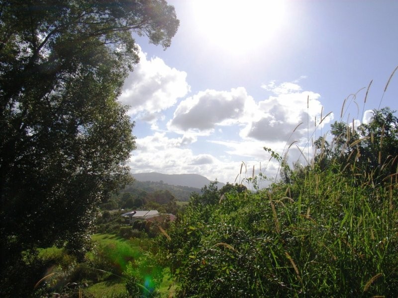 18 Gardenia Court, Mullumbimby NSW 2482