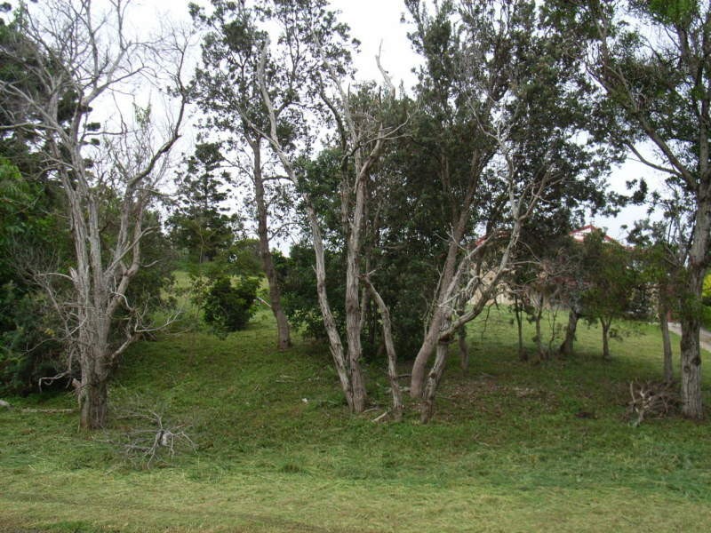 4A Goondooloo Drive, Ocean Shores NSW 2483