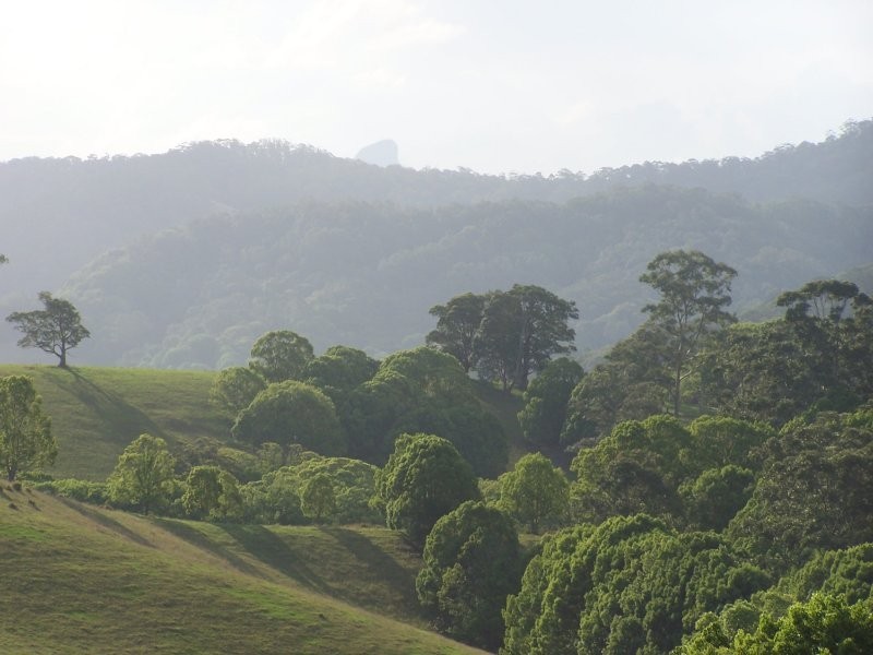 16 Hinchinbrook Road, Burringbar NSW 2483