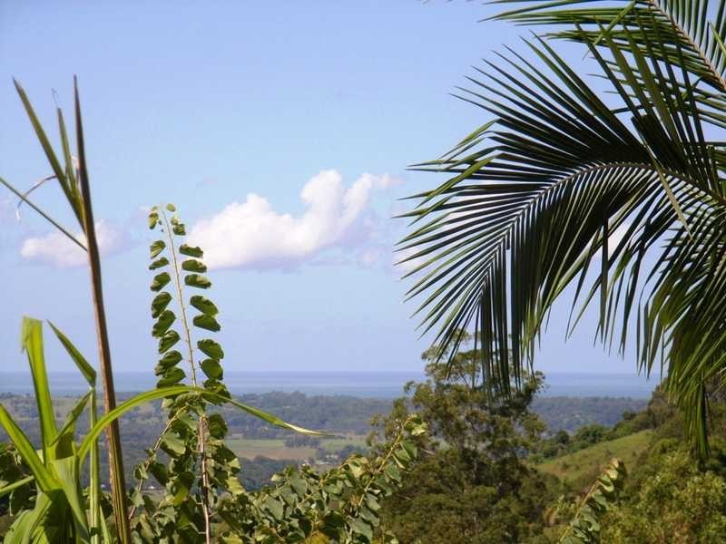 Lot 3 Left Bank Road, Mullumbimby NSW 2482