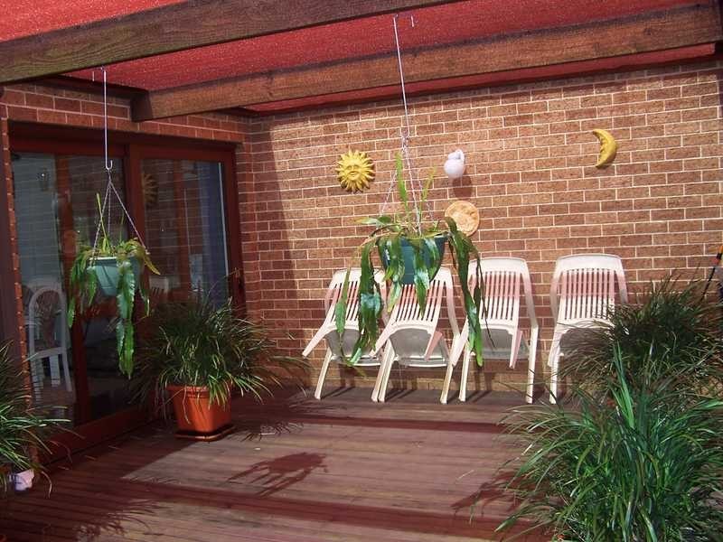 19 Natan Court, Ocean Shores NSW 2483