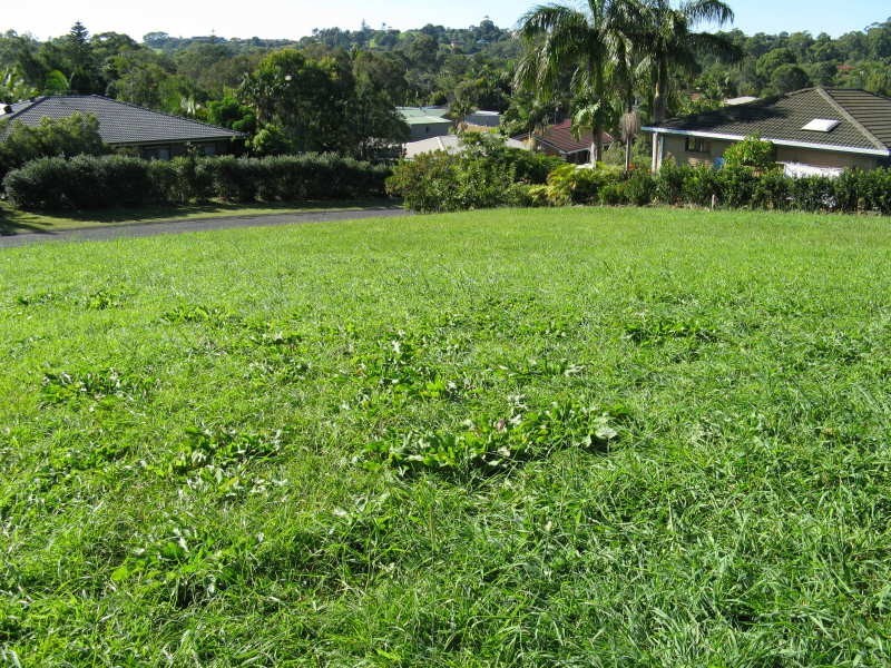 32 Orana Road, Ocean Shores NSW 2483