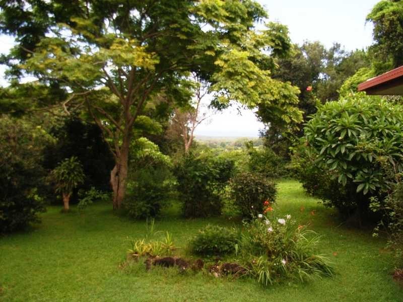 82 The Saddle Road, Mullumbimby NSW 2482