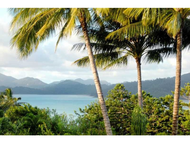 Unit 1-BELW/12 Whitsunday Boulevard, Hamilton Island QLD 4803