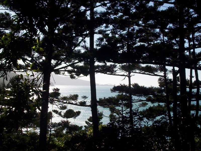 Lot MS 5 Coral Sea Avenue, Hamilton Island QLD 4803