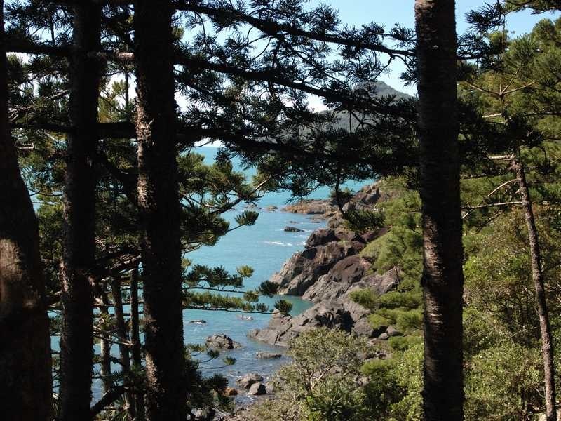 Lot MS 5 Coral Sea Avenue, Hamilton Island QLD 4803