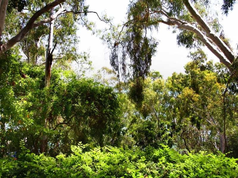 Unit J-PAND/4 Banksia Court, Hamilton Island QLD 4803