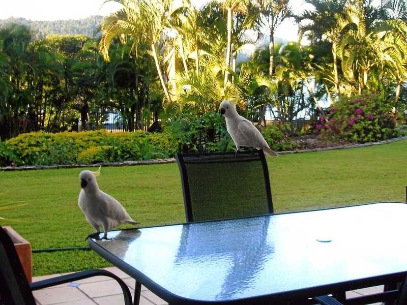 Unit 1-BELE/12 Whitsunday Boulevard, Hamilton Island QLD 4803