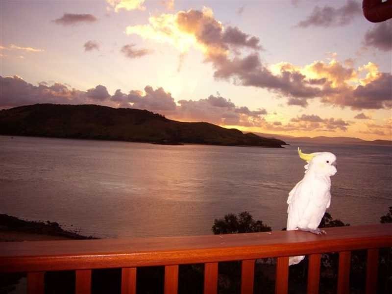 Unit 10-CAS/1 Acacia Drive, Hamilton Island QLD 4803