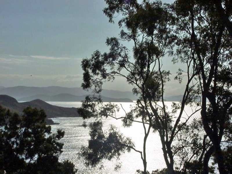 Unit 16-BWV/6 Acacia Drive, Hamilton Island QLD 4803