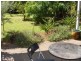 15 Haig Street, Wynnum West QLD 4178