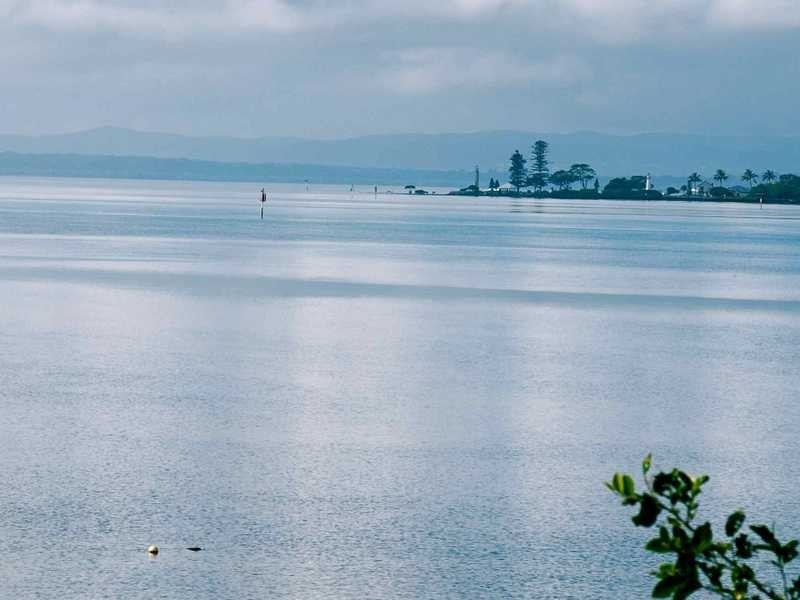 16 Sleath St, Ormiston QLD 4160