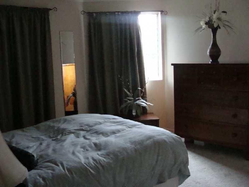 1/51 Jellico Street, Coorparoo QLD 4151