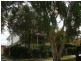 168A Hindes Street, Lota QLD 4179