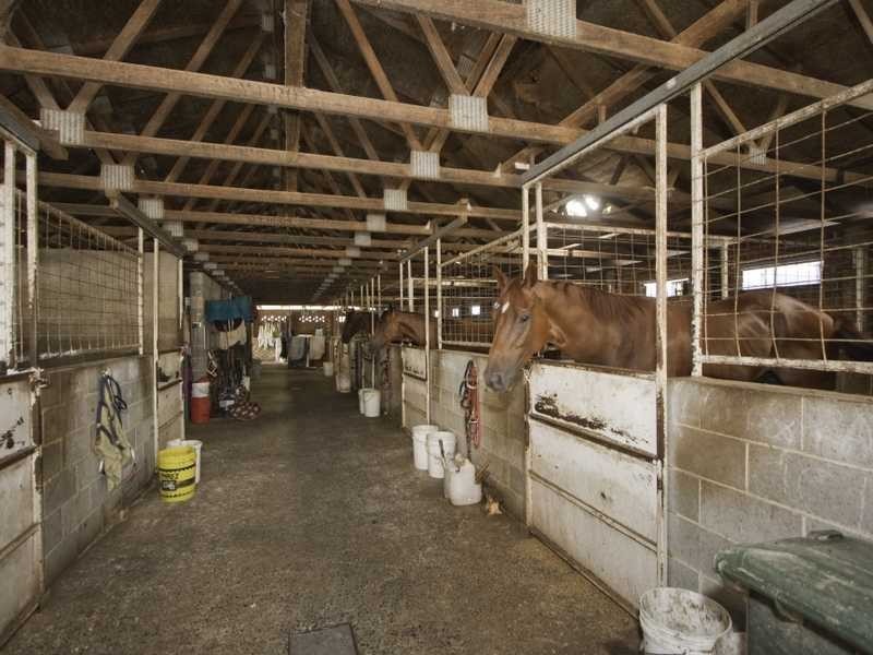 31 Racecourse Road, Ballina NSW 2478