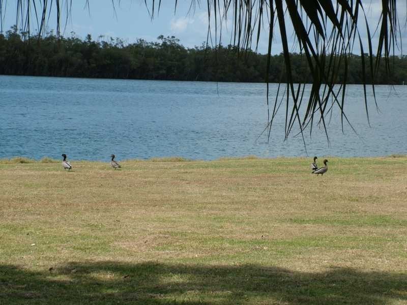 95 Riverside Drive, Ballina NSW 2478