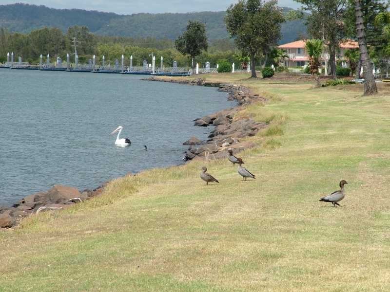 95 Riverside Drive, Ballina NSW 2478