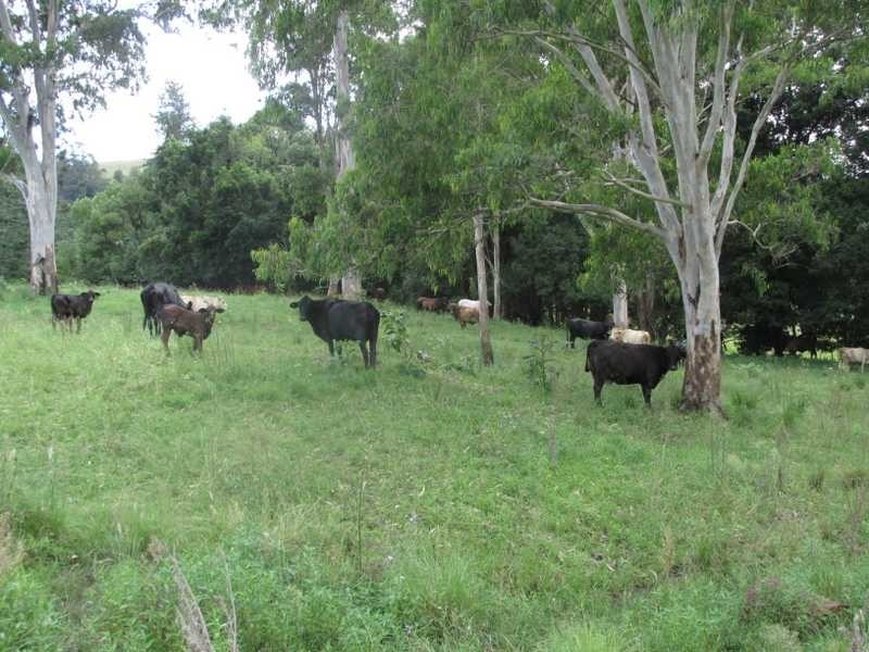 226 Hewitt Road, Lismore NSW 2480