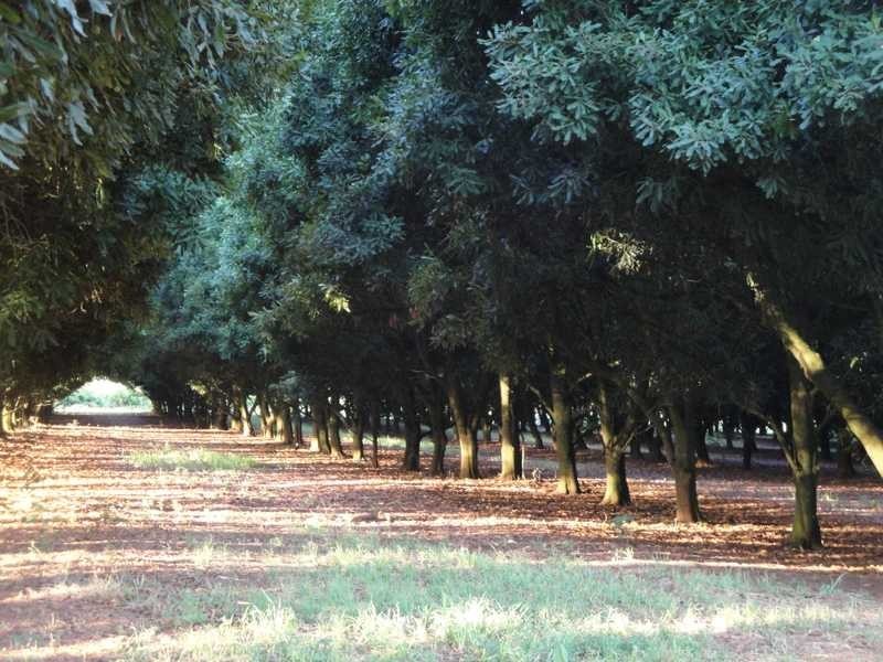 1610 Bangalow Road, Clunes NSW 2480