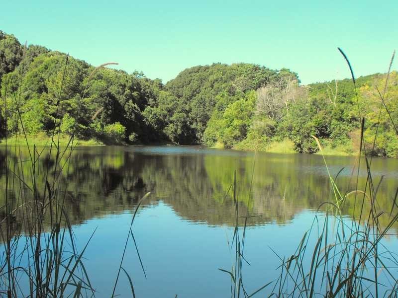 1610 Bangalow Road, Clunes NSW 2480