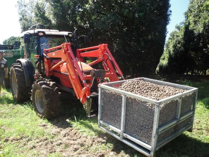 1610 Bangalow Road, Clunes NSW 2480