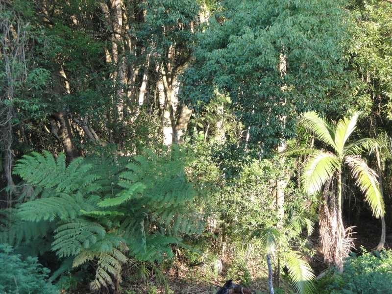 1610 Bangalow Road, Clunes NSW 2480