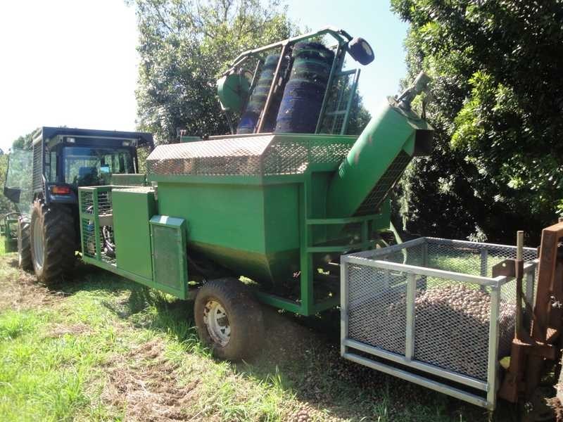 1610 Bangalow Road, Clunes NSW 2480