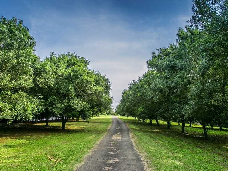 2364D Dunoon Road, Dorroughby NSW 2480