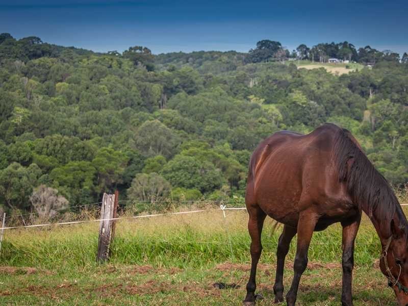 2364D Dunoon Road, Dorroughby NSW 2480