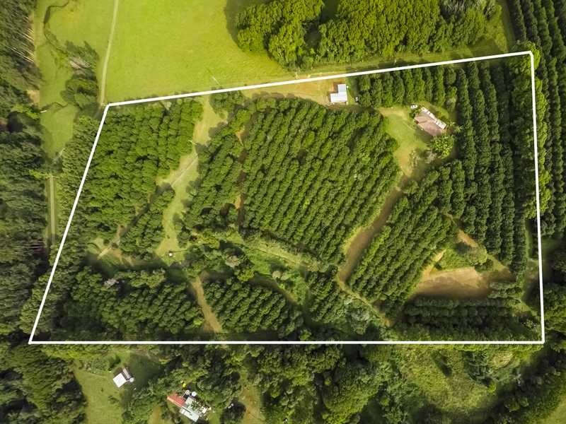 2364D Dunoon Road, Dorroughby NSW 2480