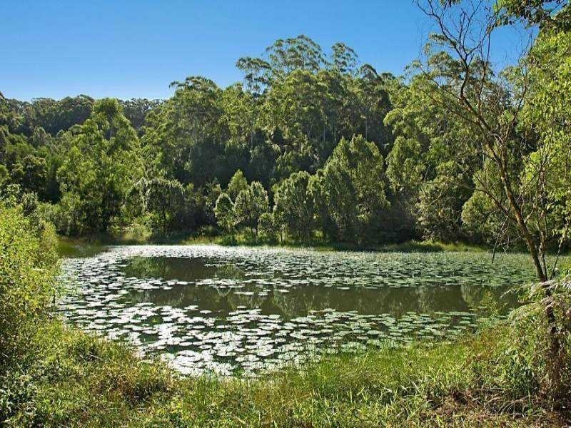 211 Fox Road, Rosebank NSW 2480