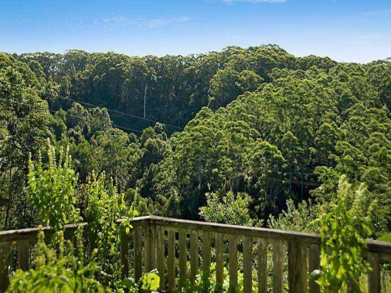 211 Fox Road, Rosebank NSW 2480