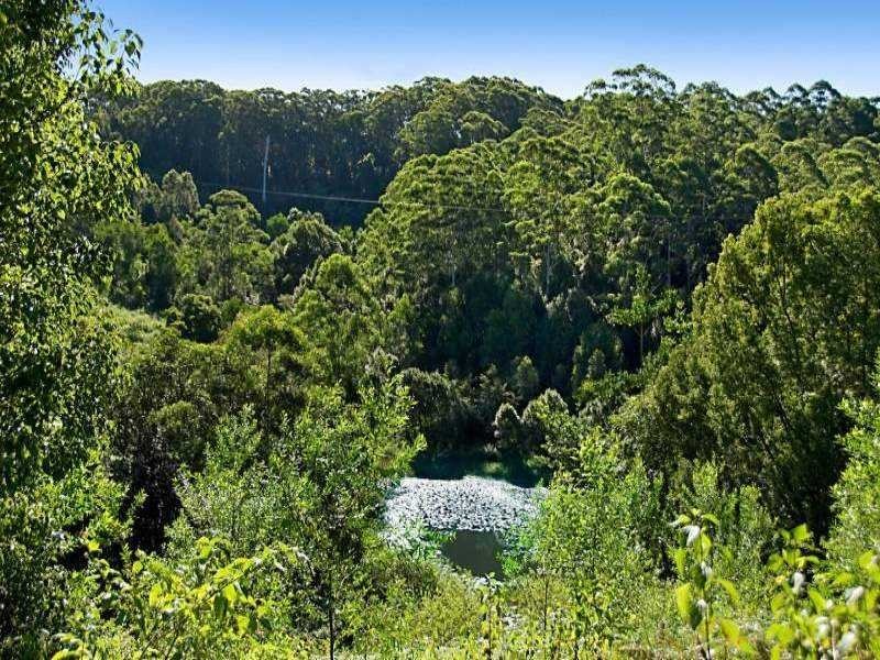 211 Fox Road, Rosebank NSW 2480