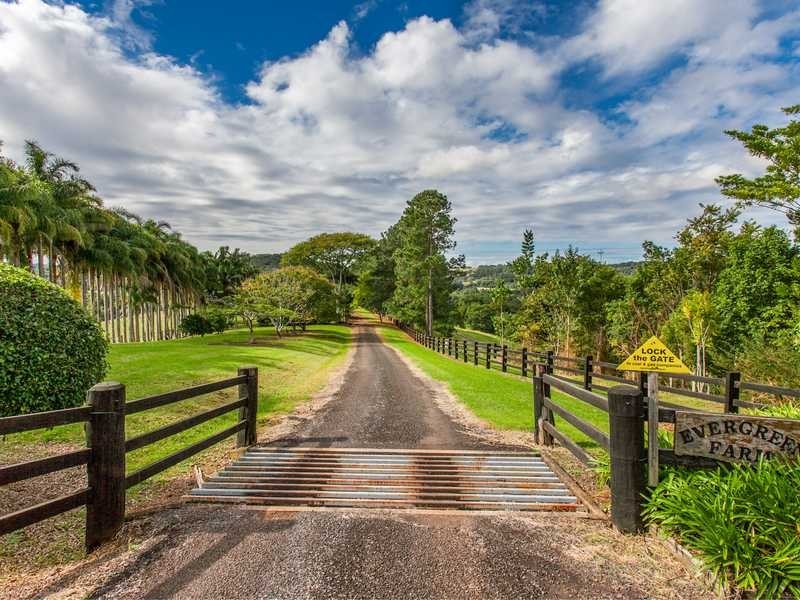 448 Binna Burra Road, Federal NSW 2480