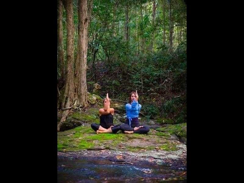 81 Fox Road, Rosebank NSW 2480