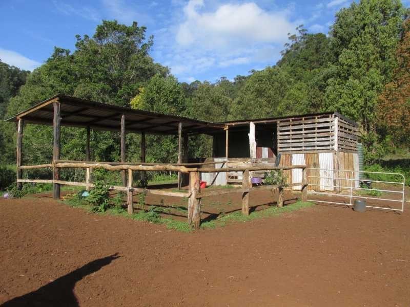 81 Fox Road, Rosebank NSW 2480