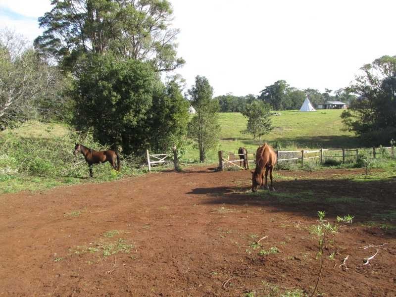 81 Fox Road, Rosebank NSW 2480