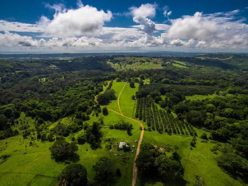 214 Sheaffes Road, Goonengerry NSW 2482