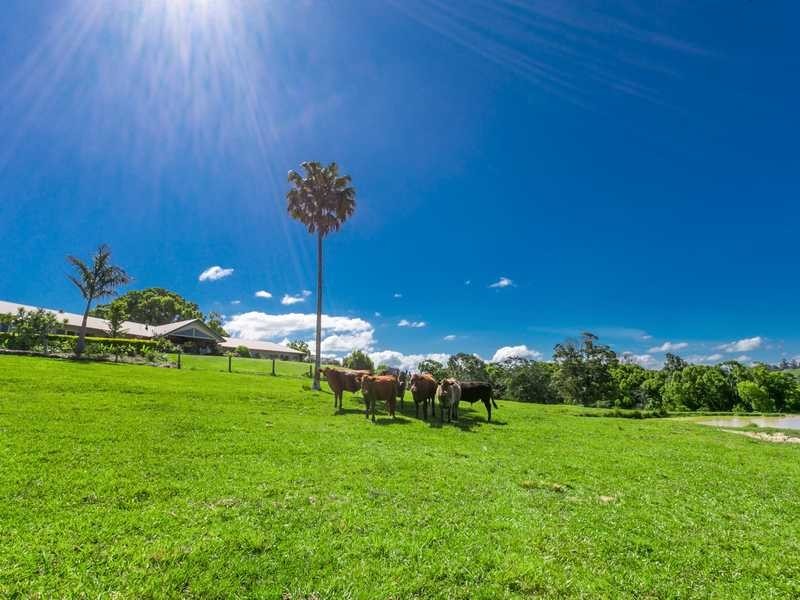 30 Blackmores Road, Alstonville NSW 2477