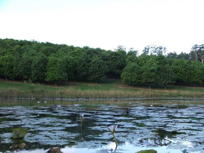 Maw St, Nambucca Heads NSW 2448